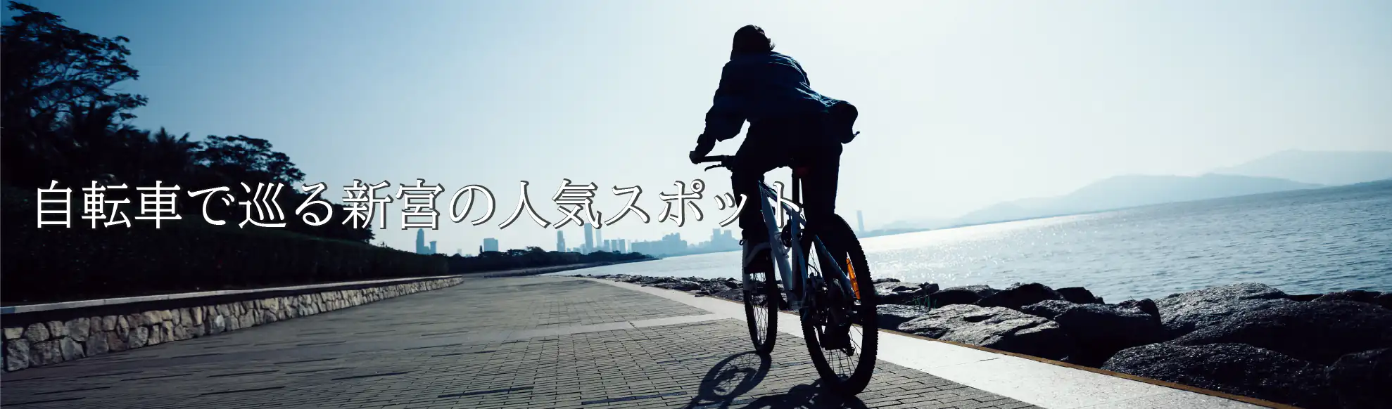 自転車で巡る新宮の人気スポット